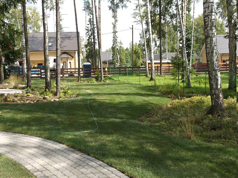 Озеленение частной территории в коттеджного поселка «Солнечная поляна» г.о. Ступино Московской области